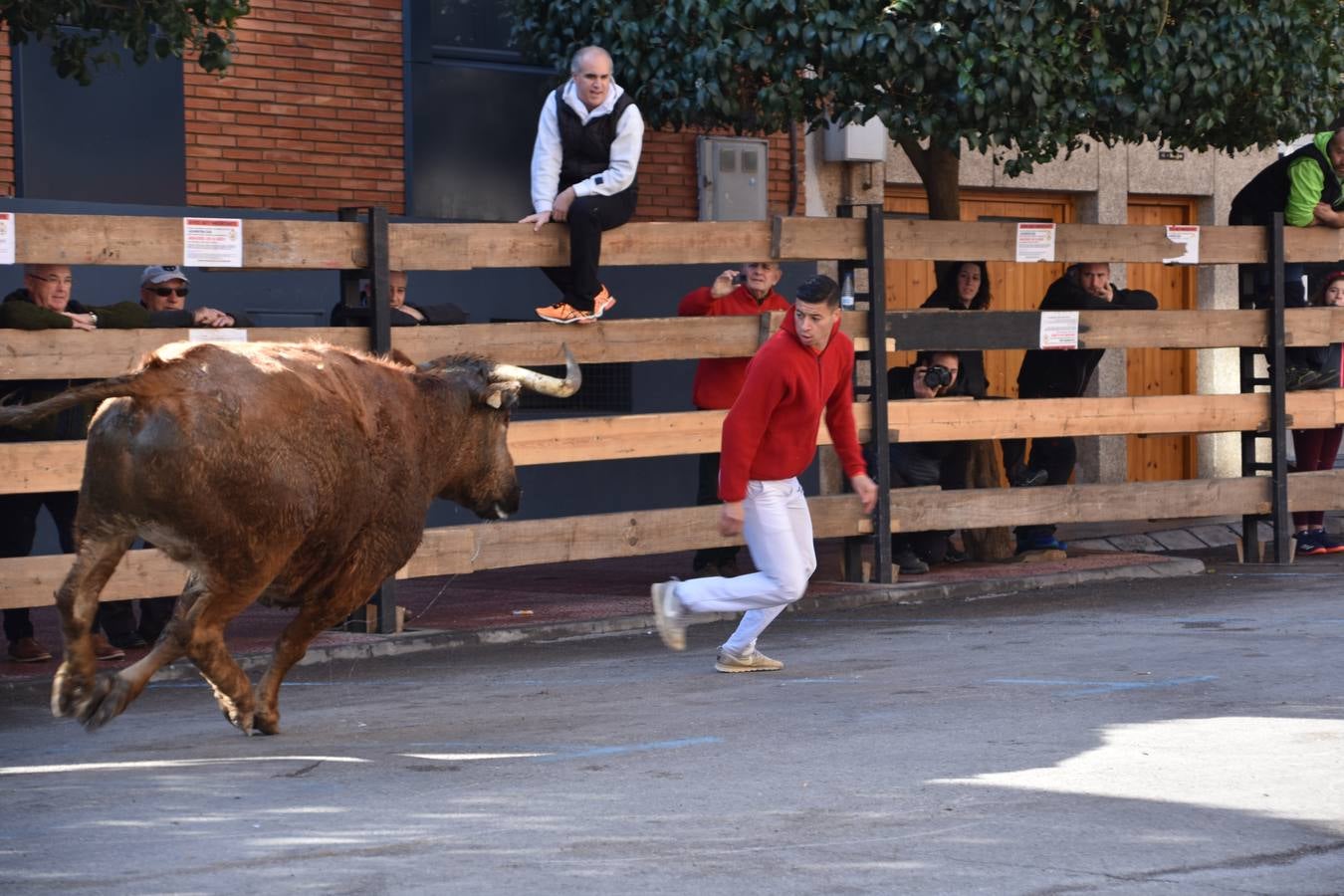 Imágenes de los actos celebrados el sábado por la mañana