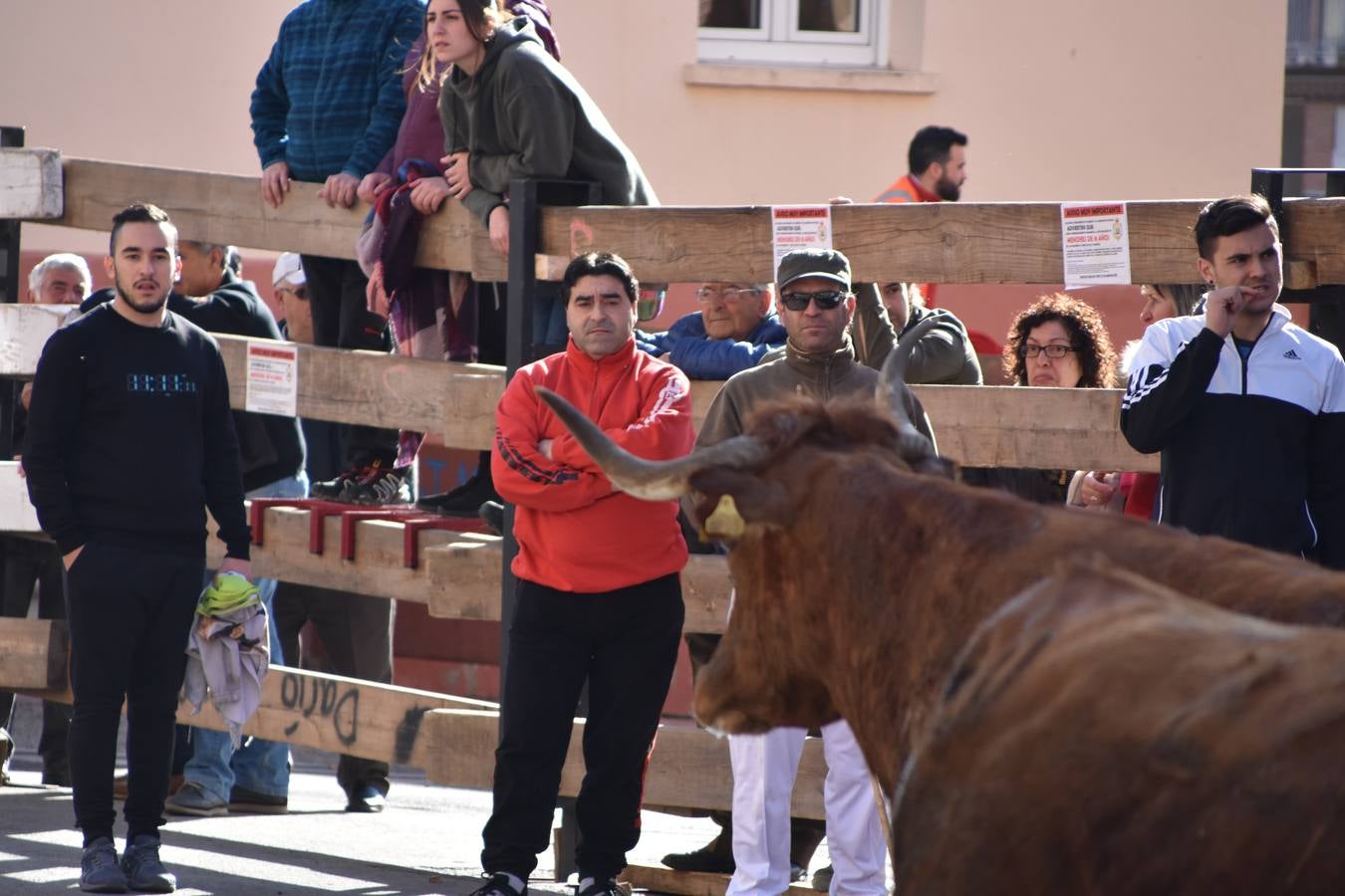 Imágenes de los actos celebrados el sábado por la mañana