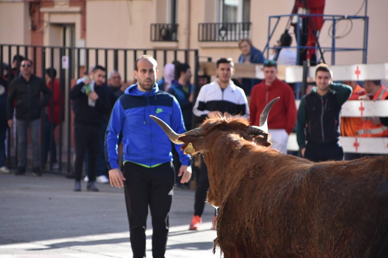 Imágenes de los actos celebrados el sábado por la mañana
