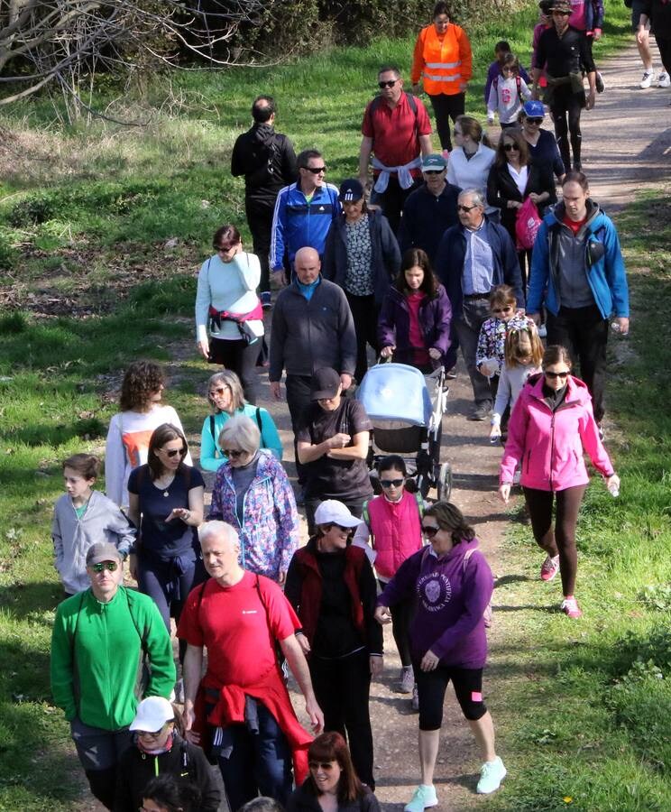 Organizados por la Consejería de Salud, que ha transcurrido por la pasarela nueva sobre el Iregua, con un recorrido de 8,8 kilómetros