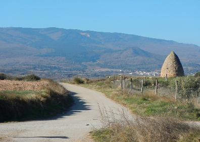 Imagen secundaria 1 - Paso de las Dos Tetas, guadaviñas en el Camino de los Judíos y frutales en el término de Entrena. 