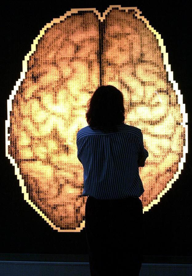 A pesar de lo que suele pensarse, utilizamos el cien por cien de nuestro cerebro. :: alberto estevez