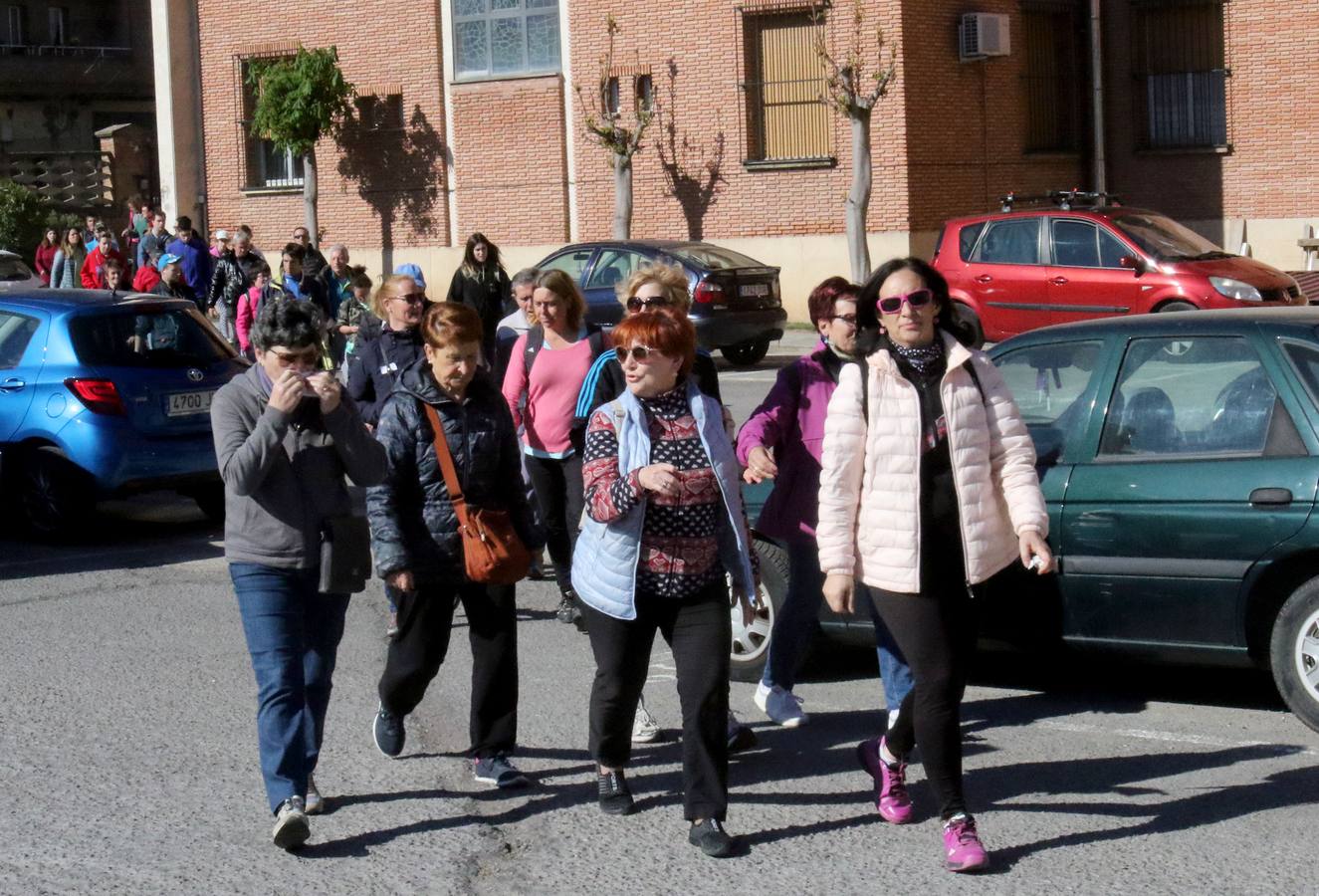 Fotos: Paseo Saludable por el barrio de Madre de Dios y San José de Logroño