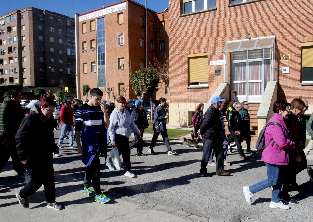 Fotos: Paseo Saludable por el barrio de Madre de Dios y San José de Logroño