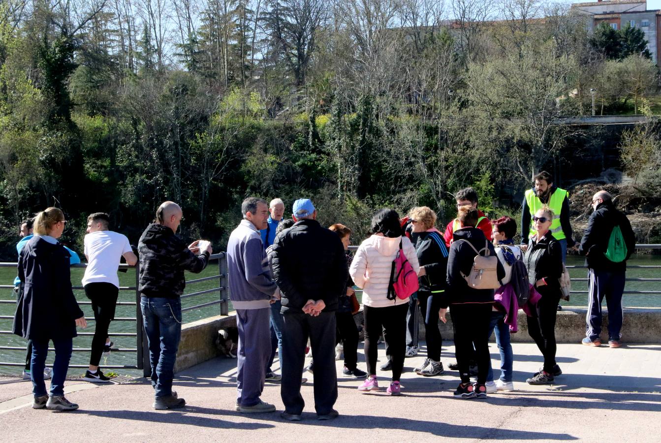 Fotos: Paseo Saludable por el barrio de Madre de Dios y San José de Logroño