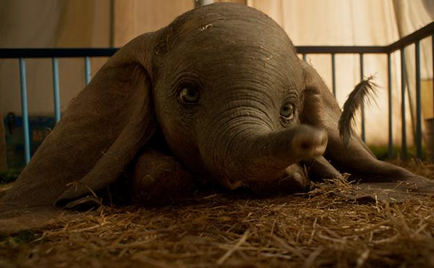 Dumbo domestica a Tim Burton