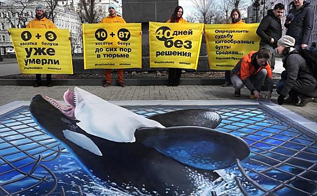 Greenpeace protesta en Moscú por las ballenas «encarceladas» en el Extremo Oriente ruso