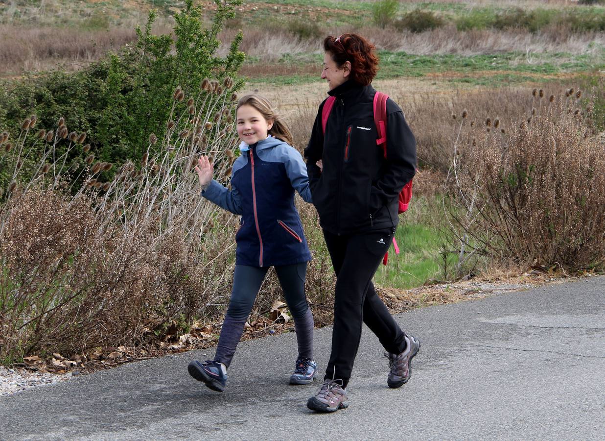 Más de 900 personas han participado este domingo en el segundo Paseo Saludable de esta edición, que ha coincidido con la celebración del Día Mundial de la Salud.