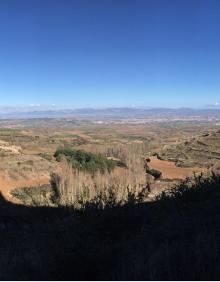 Imagen secundaria 2 - Camino de subida a Clavijo, plaza y castillo del pueblo y vistas desde la peña con Logroño al fondo 