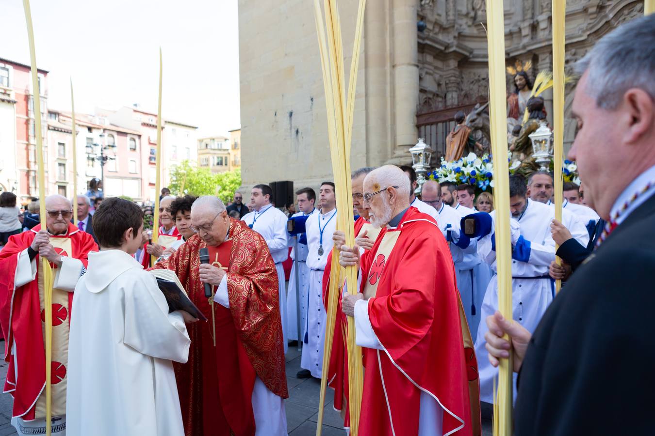 Fotos: La procesión de La Borriquita en Logroño