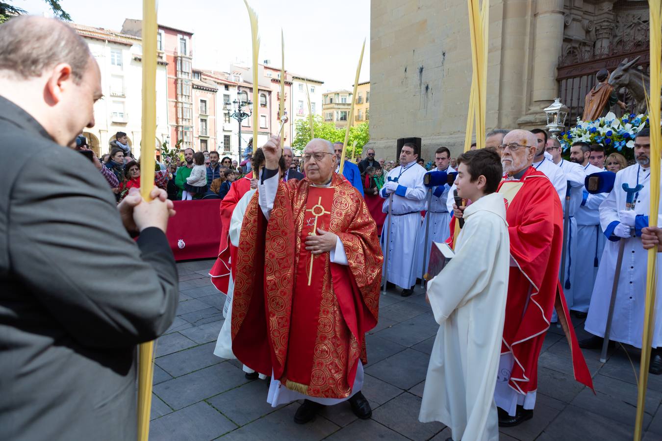 Fotos: La procesión de La Borriquita en Logroño