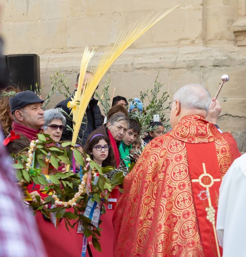 Fotos: La procesión de La Borriquita en Logroño