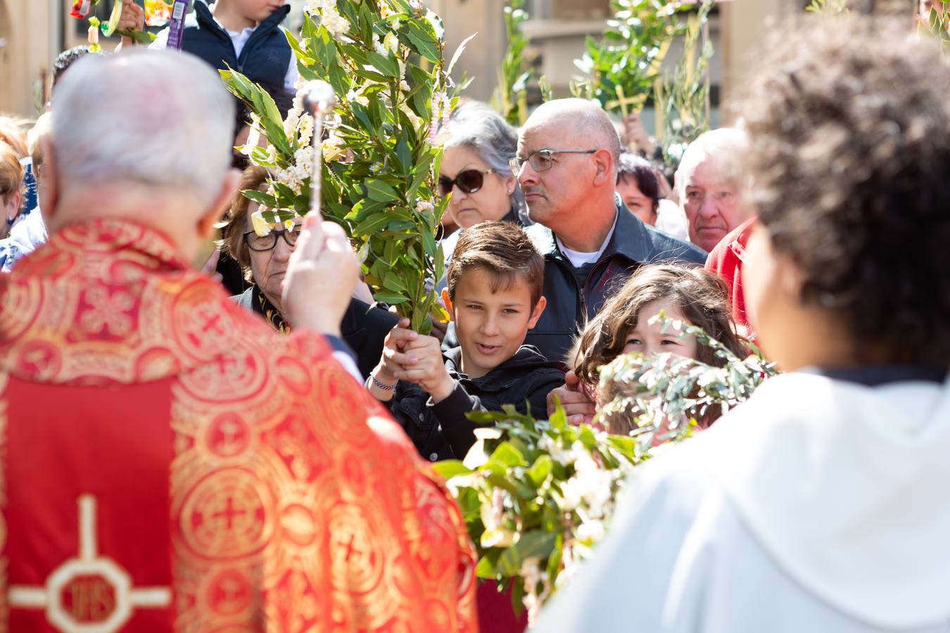 Fotos: La procesión de La Borriquita en Logroño