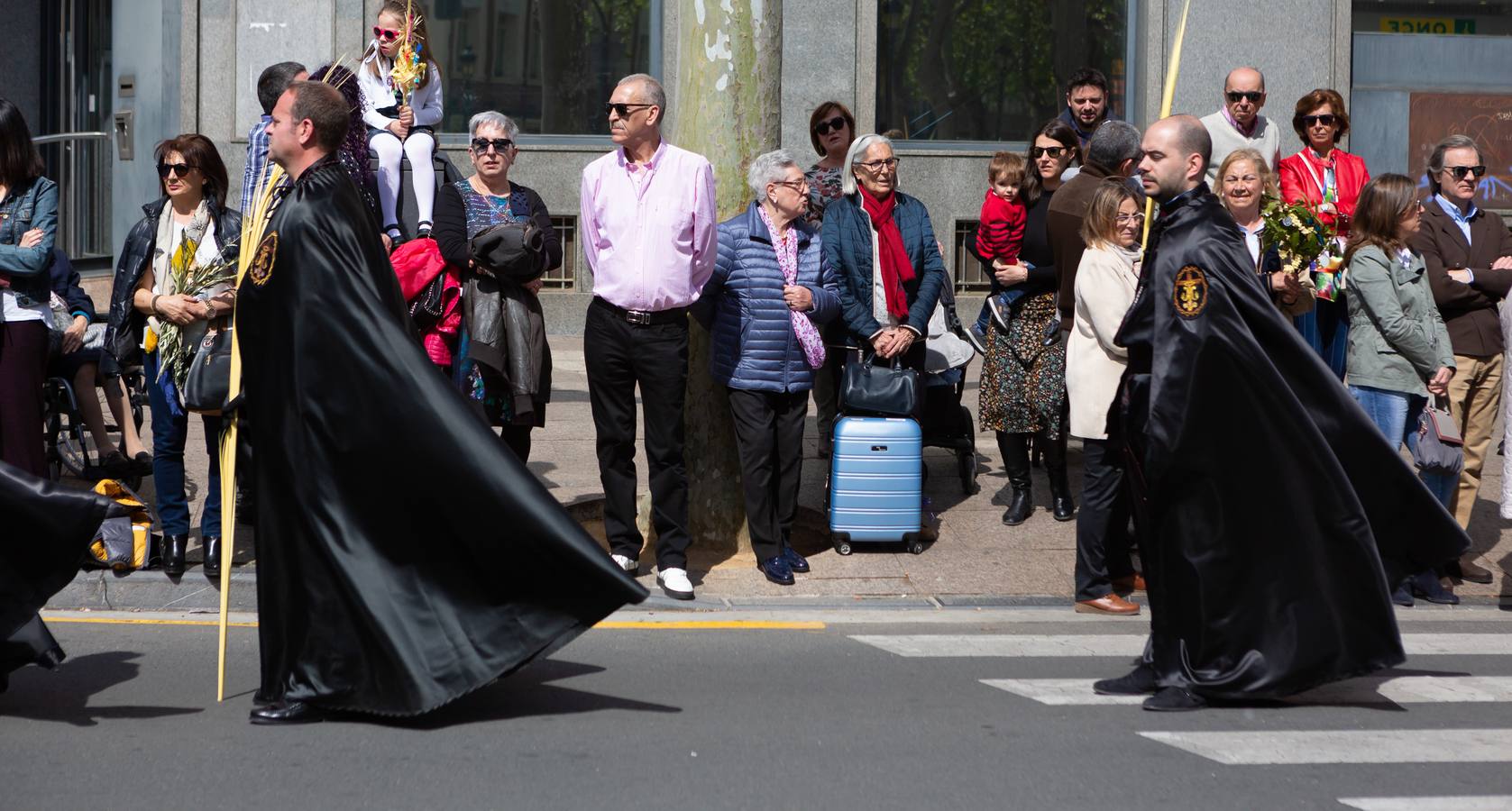 Fotos: La procesión de La Borriquita en Logroño