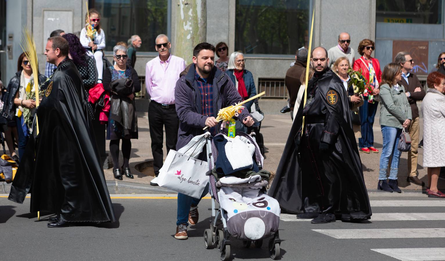 Fotos: La procesión de La Borriquita en Logroño