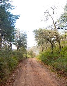 Imagen secundaria 2 - Senderos bajo el Pico del Águila, camino de los Judíos y camino de la Cruz del Muerto, cerca de Daroca 