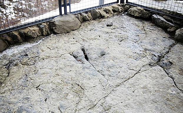 Icnitas del yacimiento de Valdecevillo.