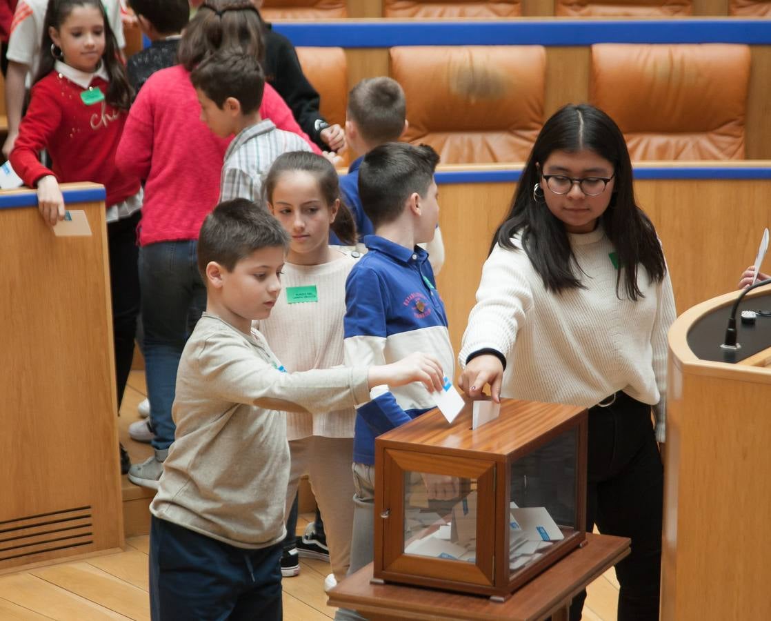Aldeas Infantiles pide «políticas concretas» contra la pobreza infantil | El Parlamento riojano ha acogido un pleno infantil con la asistencia del vicepresidente de esta ONG, Javier Fresneda