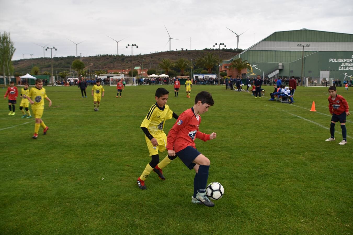 segunda y última jornada del XXIV torneo de fútbol base Juventud Calahorra.