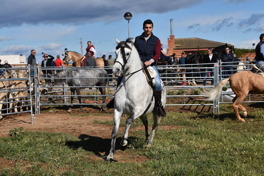 Ceniceros felicita a los rinconeros por mantener la celebración de la Feria de Ganado Equino hasta nuestros días