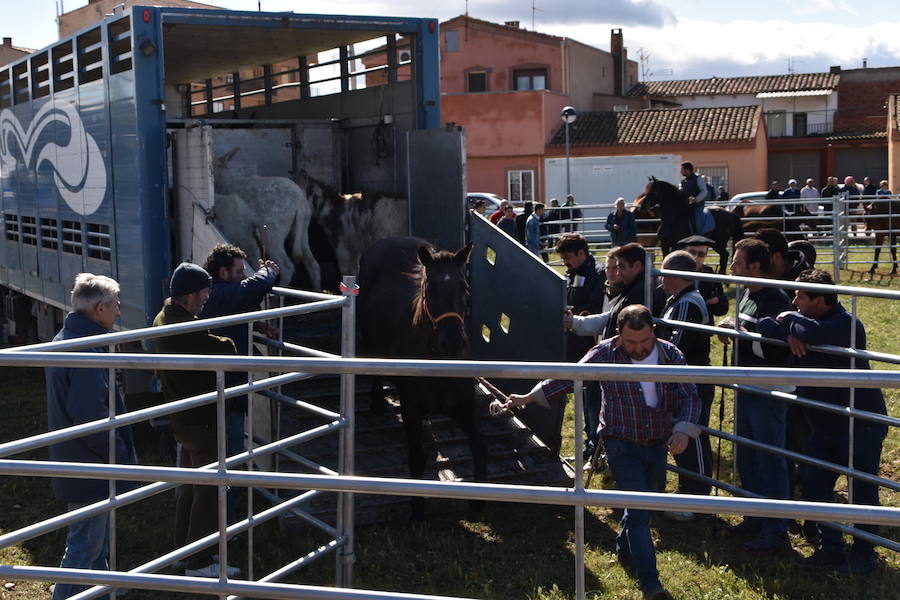 Ceniceros felicita a los rinconeros por mantener la celebración de la Feria de Ganado Equino hasta nuestros días