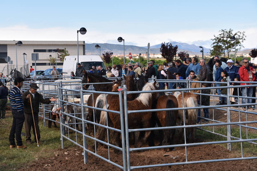 Ceniceros felicita a los rinconeros por mantener la celebración de la Feria de Ganado Equino hasta nuestros días