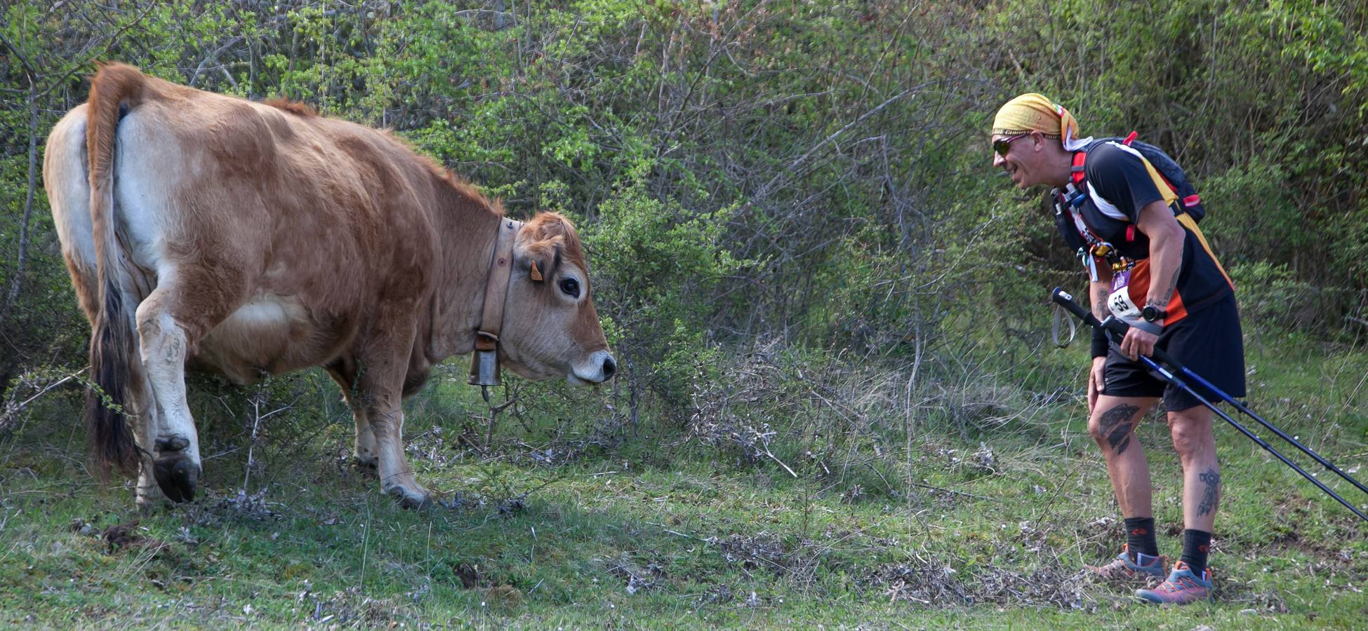 Fotos: Rioja Ultratrail: segunda jornada