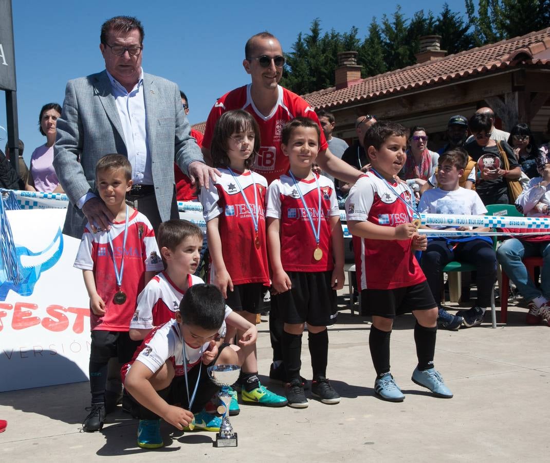 Fotos: Finalizan los torneos cantera de fútbol
