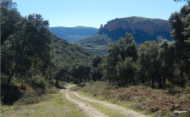 Imagen principal - Descenso por el valle de Urrilla con el castillo de Viguera al fondo, sendero en Viguera y río Iregua en Albelda