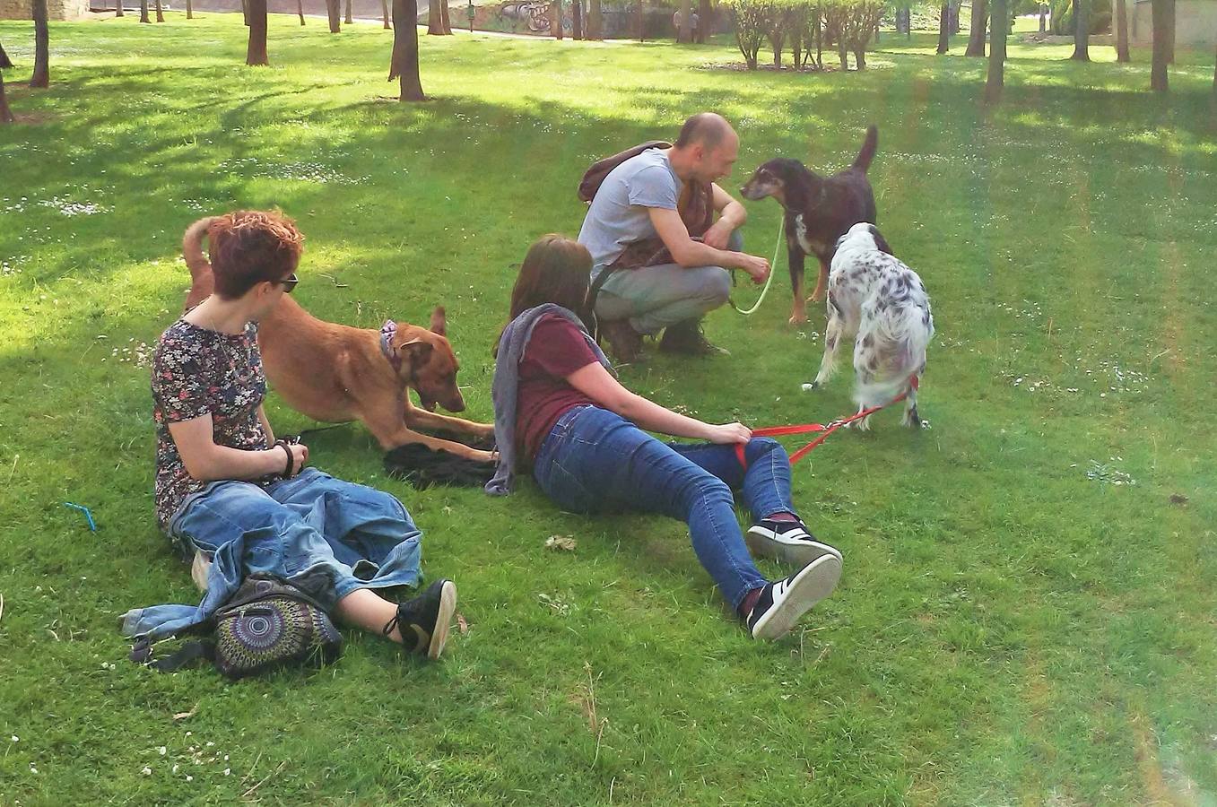 Cientos de personas y decenas de perros se reúnen en el parque del Ebro de Logroño en honor del adiestrador canino