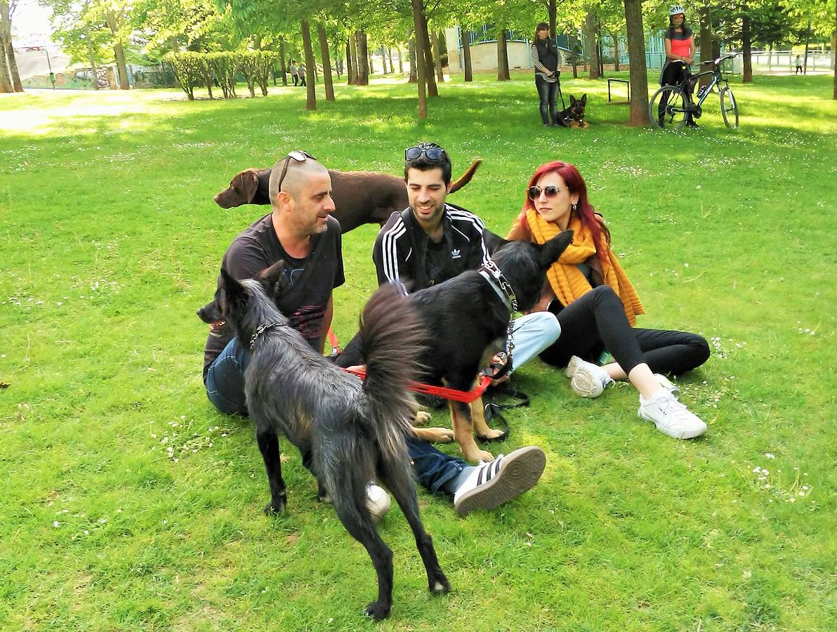 Cientos de personas y decenas de perros se reúnen en el parque del Ebro de Logroño en honor del adiestrador canino