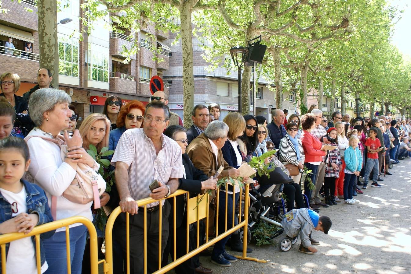 Fotos: Pregón del Primero de mayo y la aclamación de Fernando III el Santo en Nájera