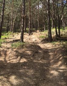 Imagen secundaria 2 - Sendero de Las Neveras, uno de cuyos pozos se ve arriba. 