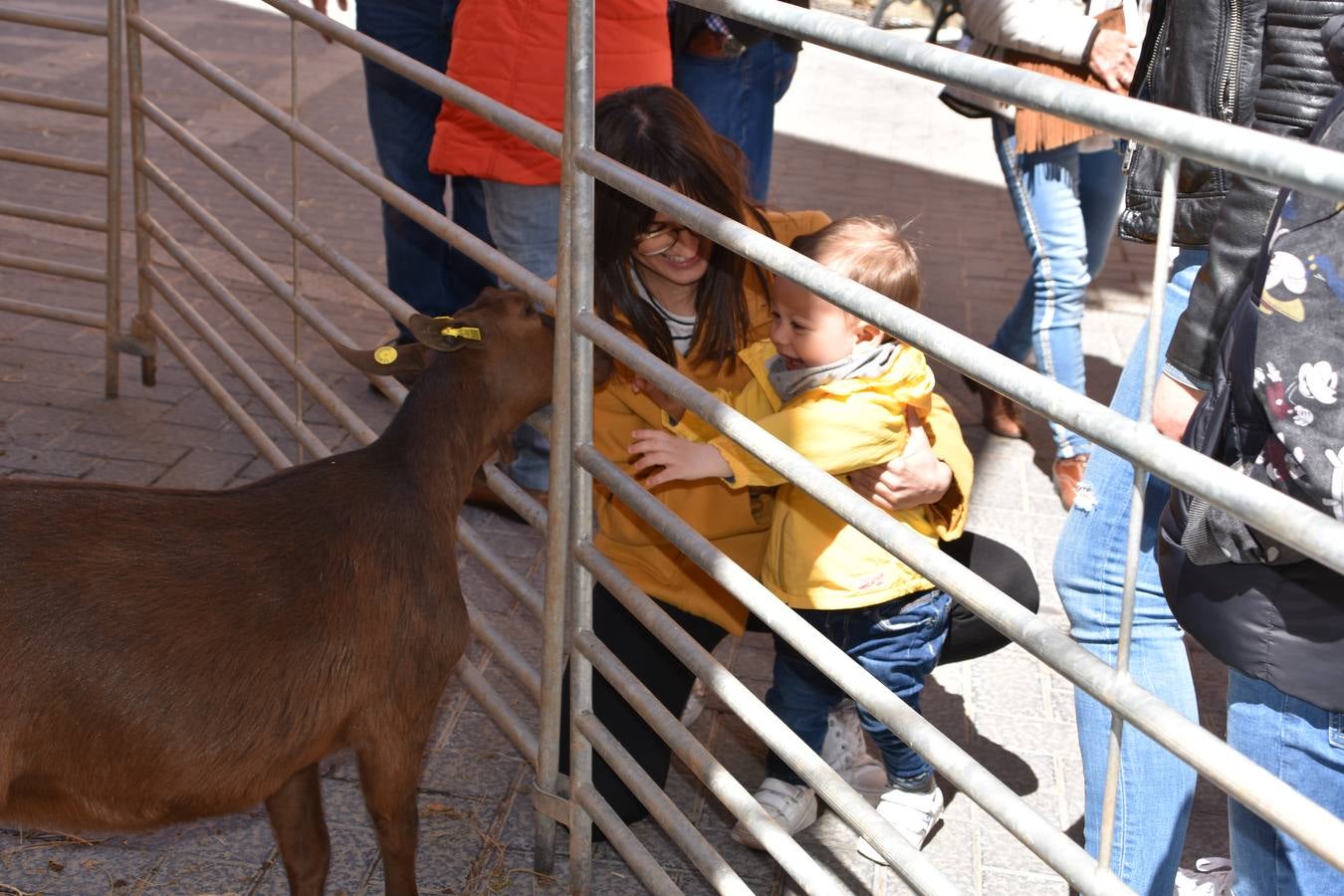 Fotos: III feria de la cebolla asada de Herce