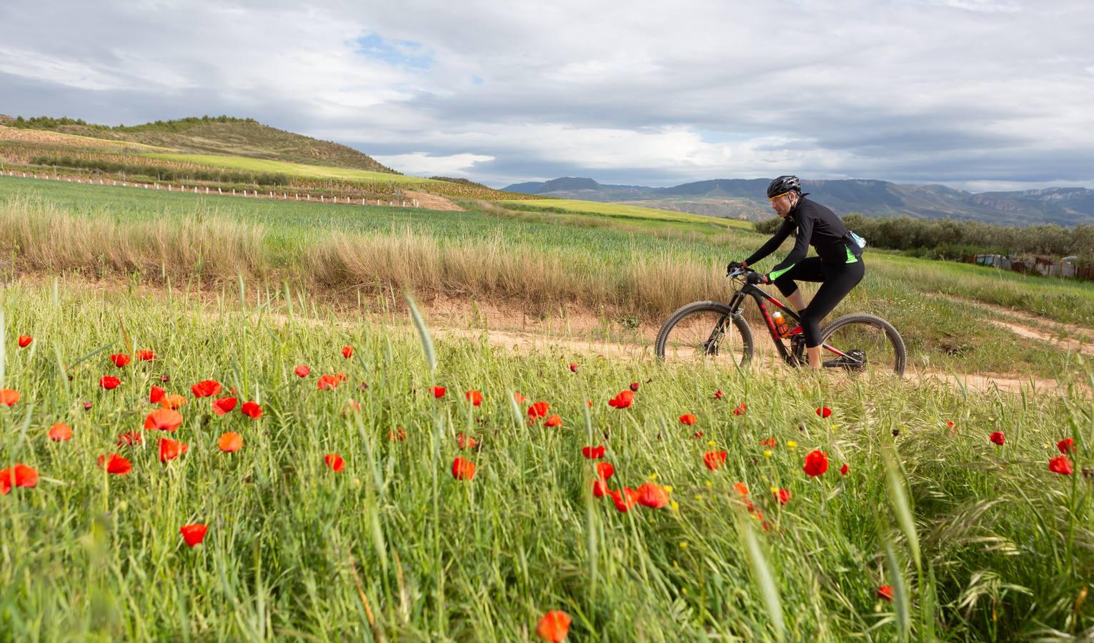 Fotos: Primera etapa de La Rioja Bike Race: La carrera