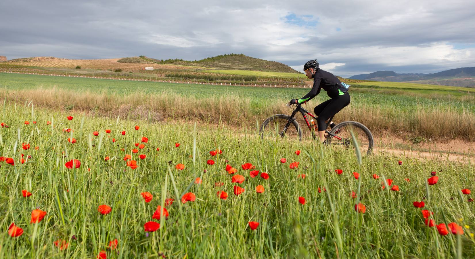 Fotos: Primera etapa de La Rioja Bike Race: La carrera