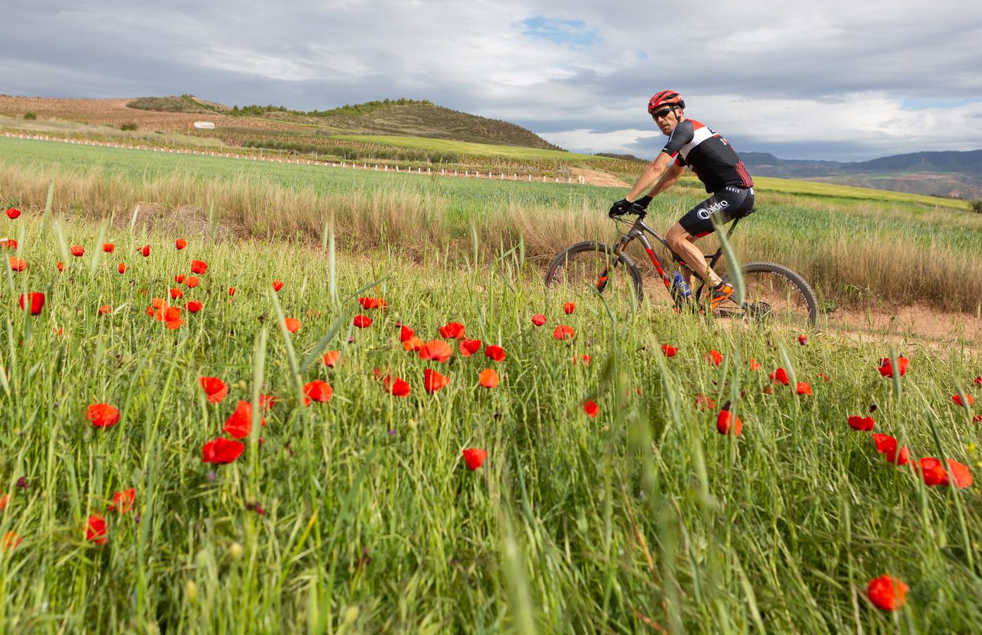 Fotos: Primera etapa de La Rioja Bike Race: La carrera