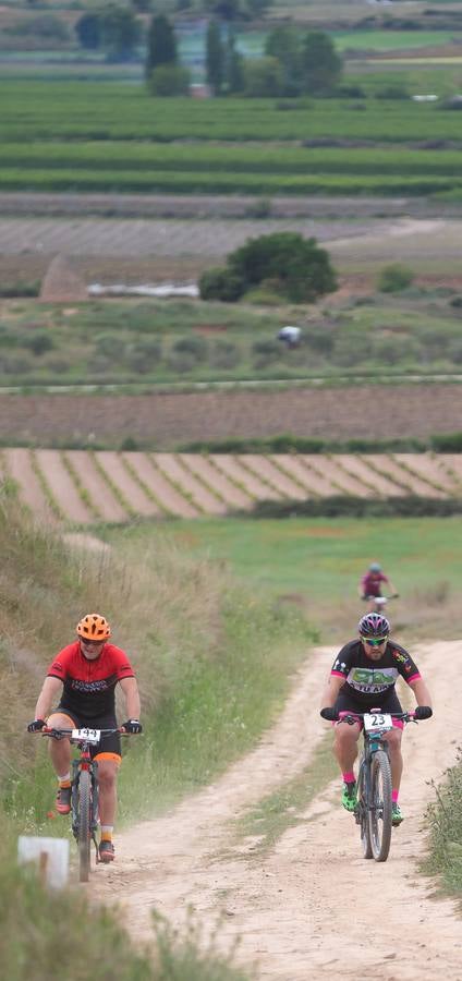 Fotos: Primera etapa de La Rioja Bike Race: La carrera