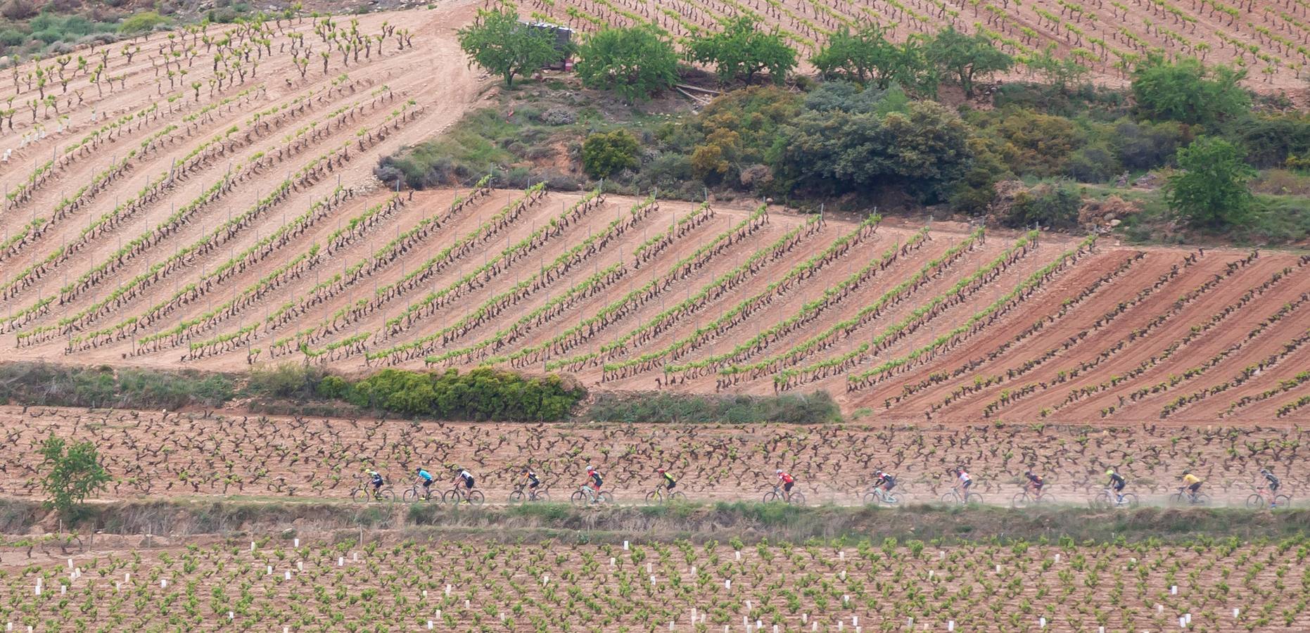 Fotos: Primera etapa de La Rioja Bike Race: La carrera