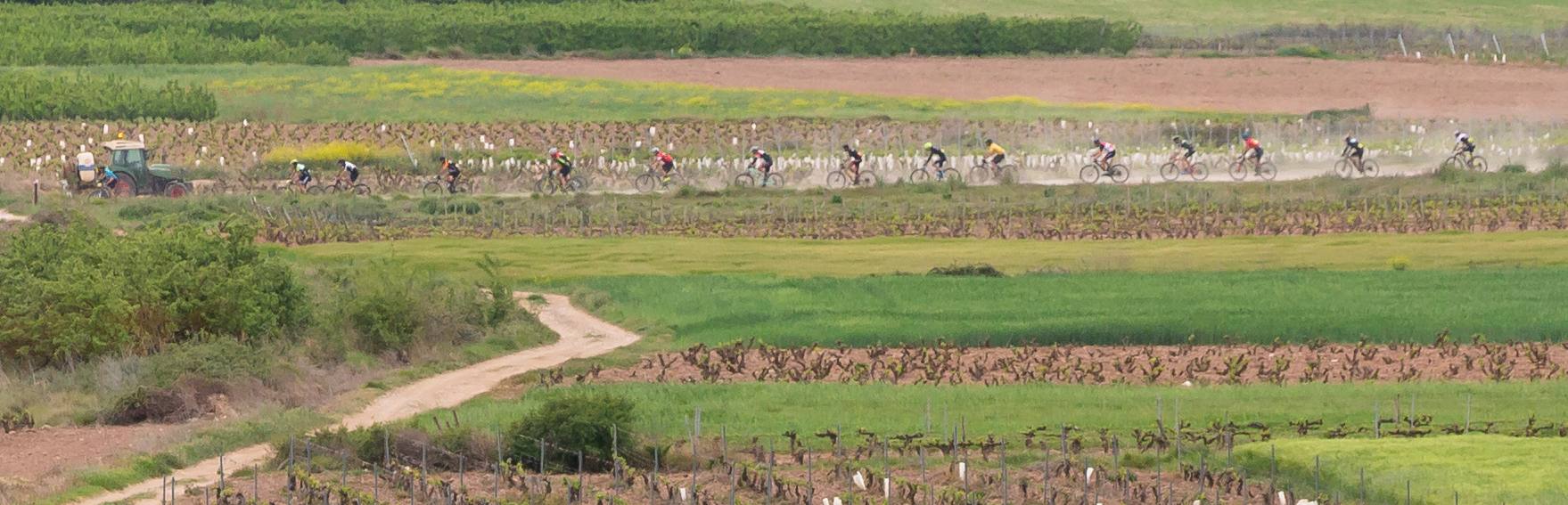 Fotos: Primera etapa de La Rioja Bike Race: La carrera