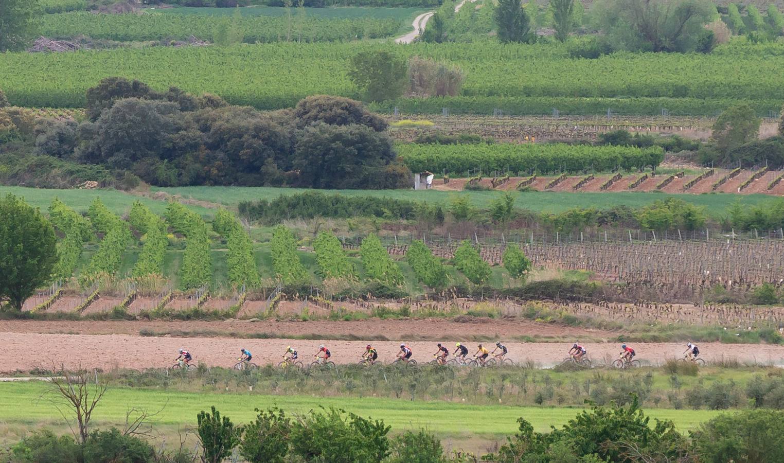 Fotos: Primera etapa de La Rioja Bike Race: La carrera