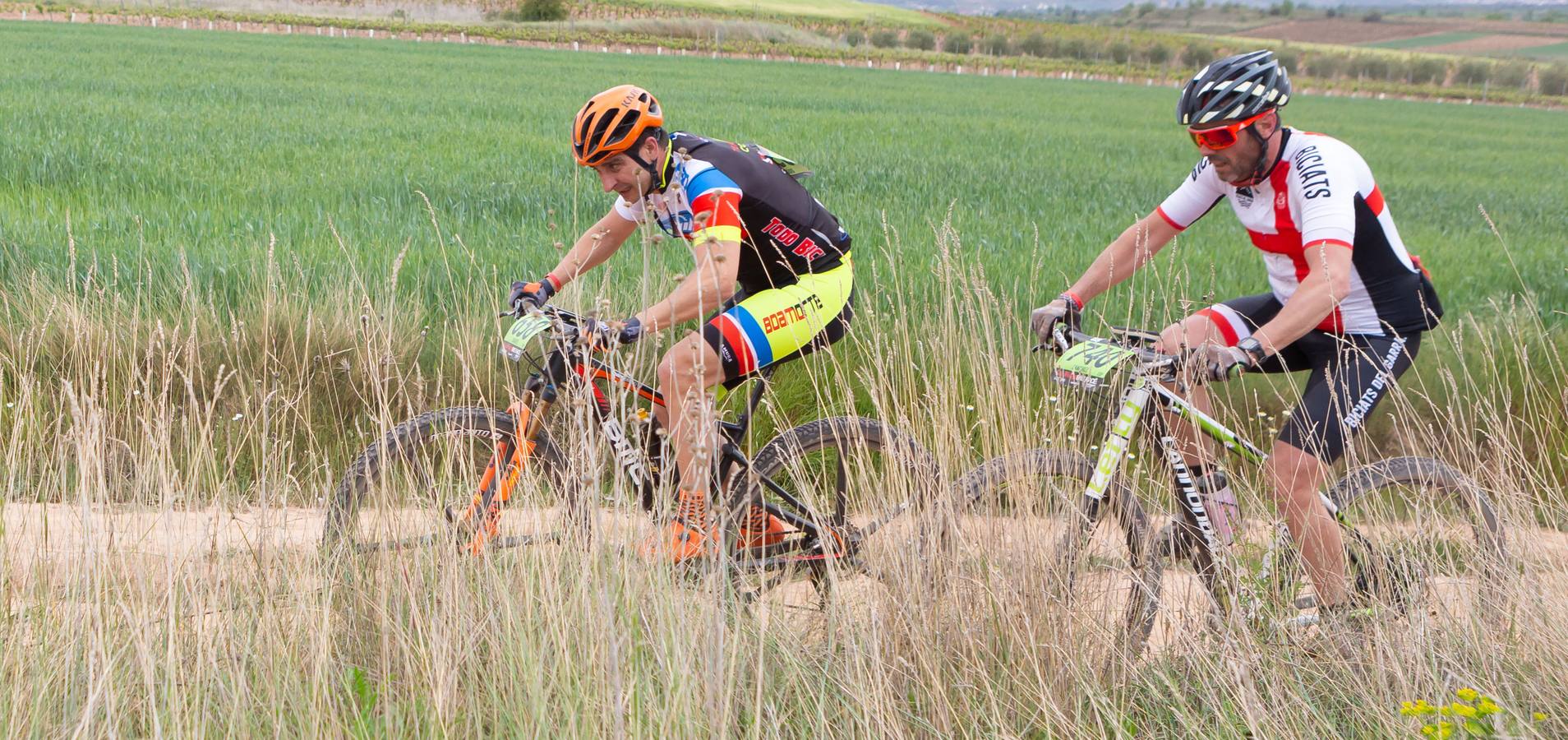 Fotos: Primera etapa de La Rioja Bike Race: La carrera