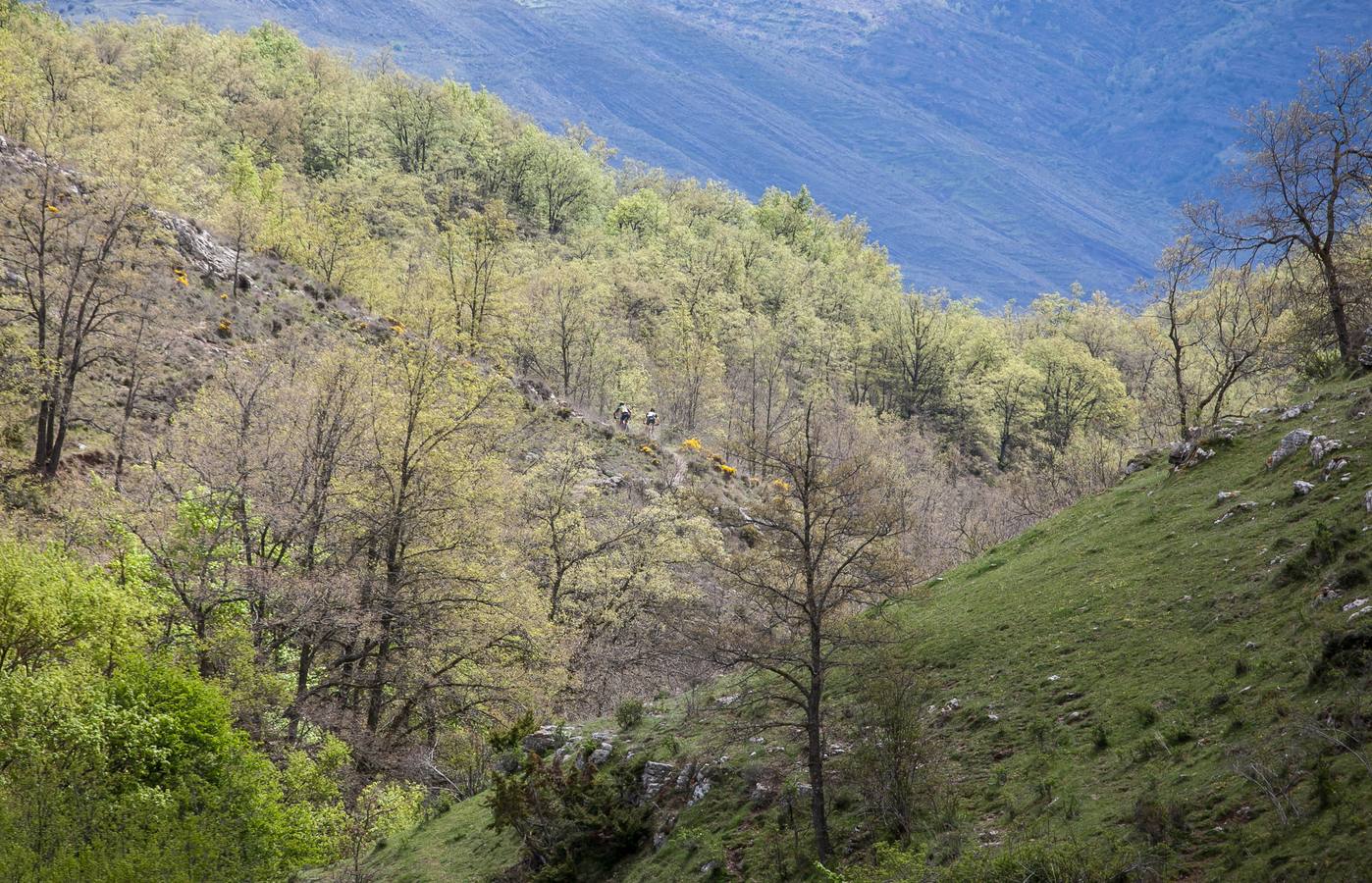 Fotos: Segunda etapa de La Rioja Bike Race (II)