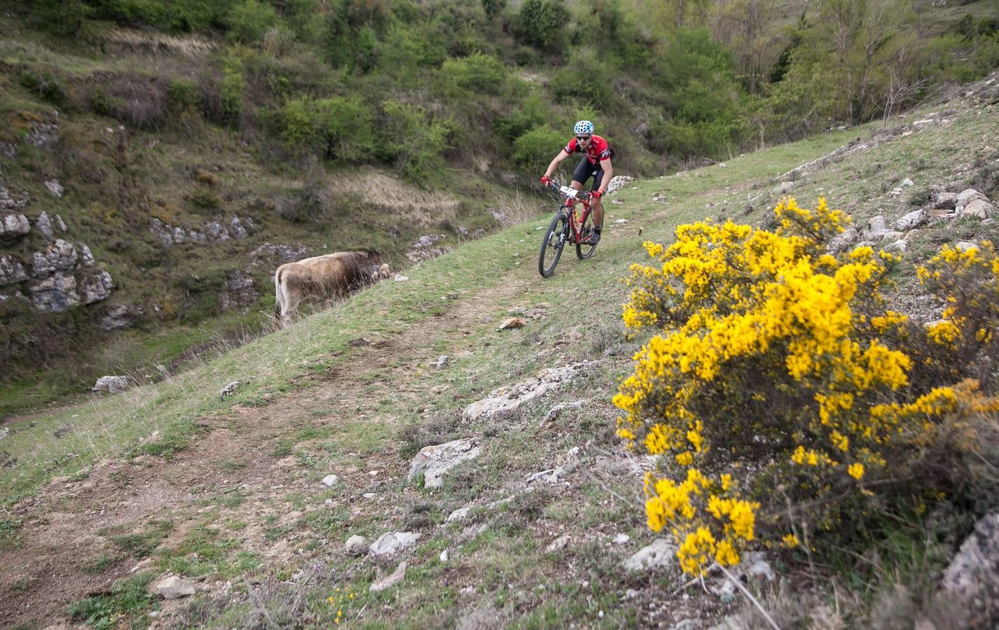 Fotos: Segunda etapa de La Rioja Bike Race (II)