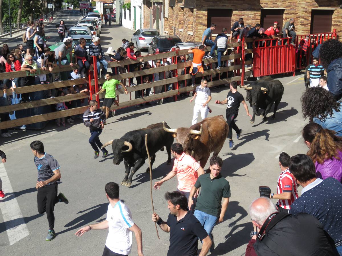 Fotos: Segundo día de las fiestas de Primavera de Alfaro