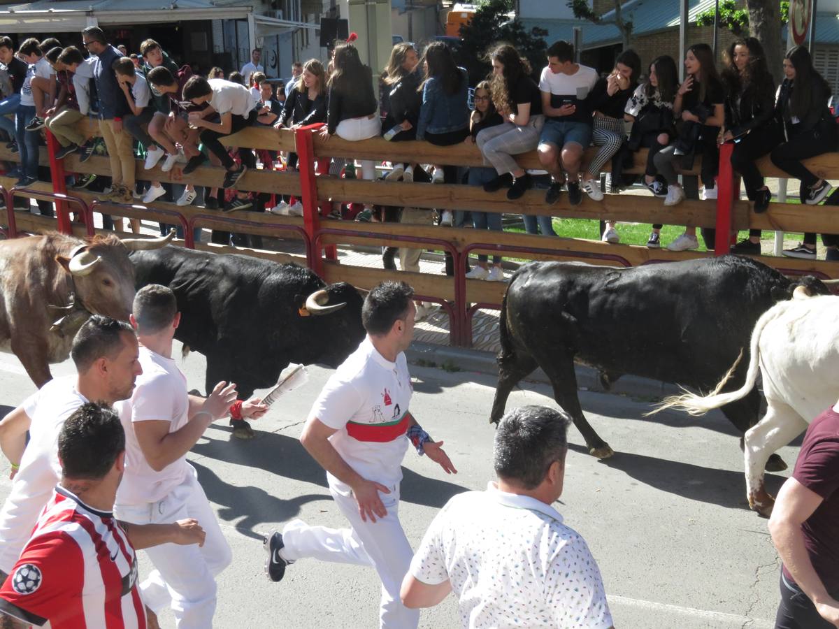 Fotos: Segundo día de las fiestas de Primavera de Alfaro