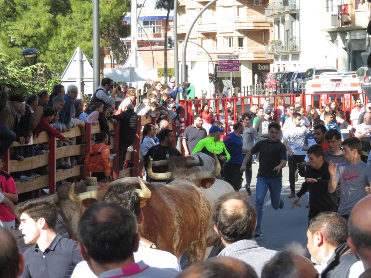 Fotos: Segundo día de las fiestas de Primavera de Alfaro