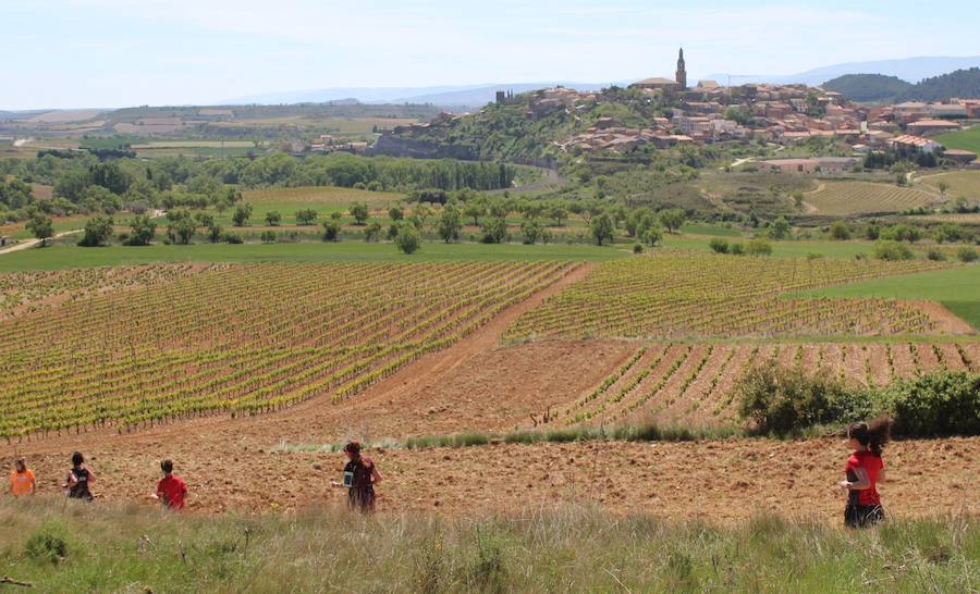 La prueba, en la que venció Gema Olave, contó con 400 participantes 