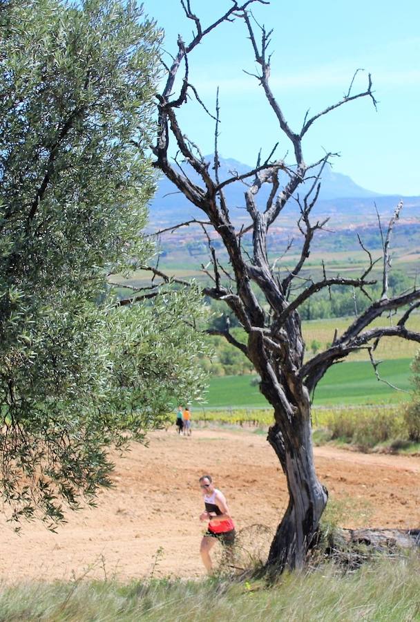 La prueba, en la que venció Gema Olave, contó con 400 participantes 