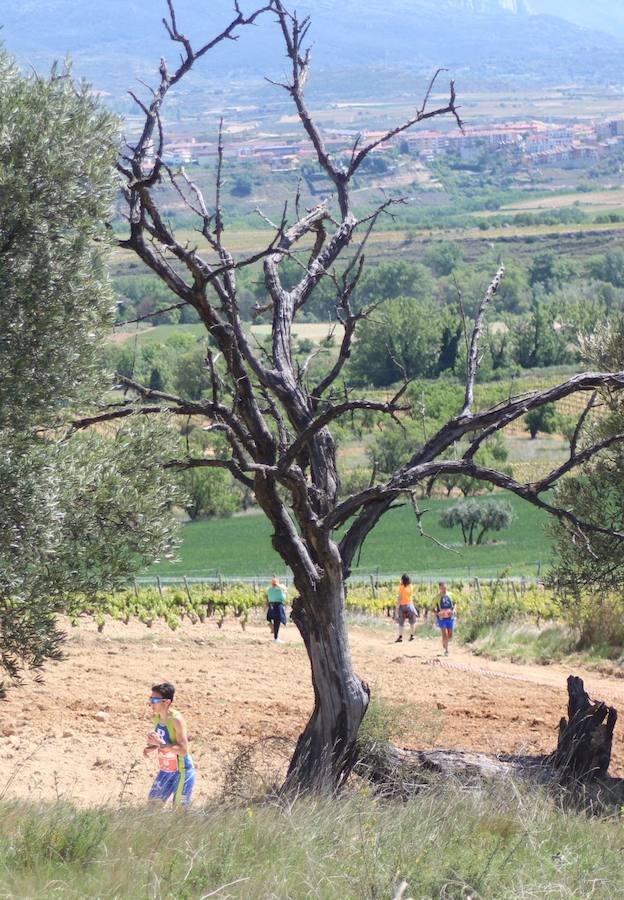 La prueba, en la que venció Gema Olave, contó con 400 participantes 